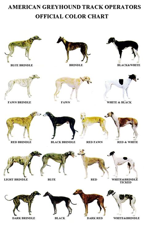 11 best images about The Greyhound Colors on Pinterest | Colour chart ...