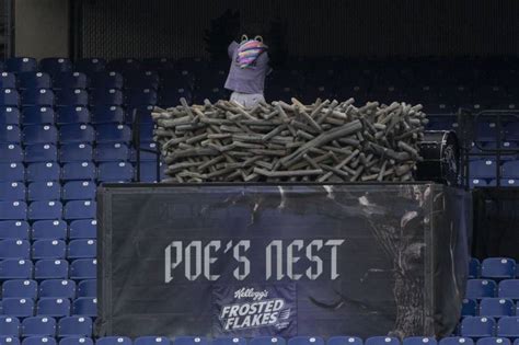 Nevermore: Injured Ravens mascot Poe out for season