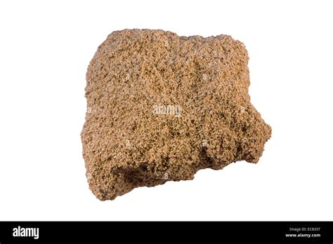 Calcarenite from Oahu Stock Photo, Royalty Free Image: 76395403 - Alamy