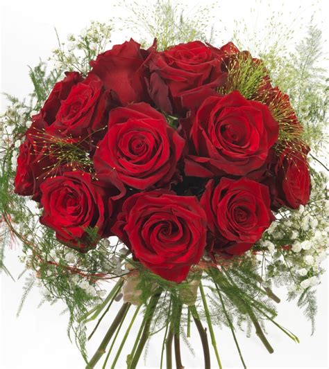 Standard roses – intermediate hybrid tea roses, sweetheart roses, garden shaped roses, classic roses