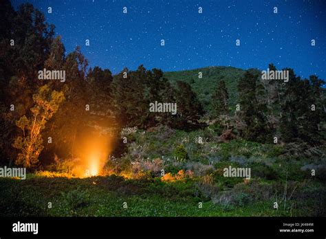 Campfire at night under starry sky Stock Photo - Alamy