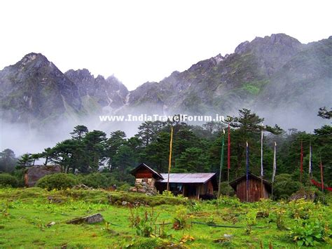 Yumthang Valley Near Yuksom | India Travel Forum