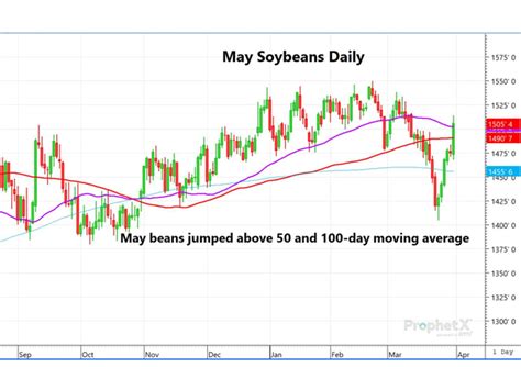 Soybean Futures Soar on Lower Stocks and Prospective Plantings