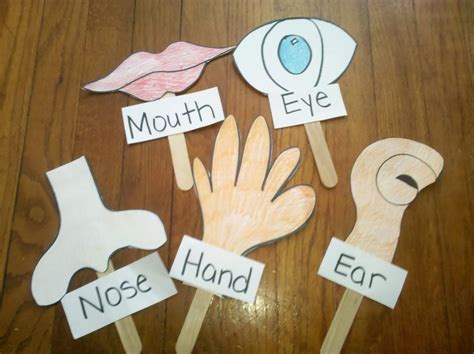 Five Senses Puppets | Preschool crafts, Senses preschool, Five senses preschool