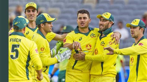 Australian team for India vs Australia T20 series 2019: Full Australia squad for T20s against India