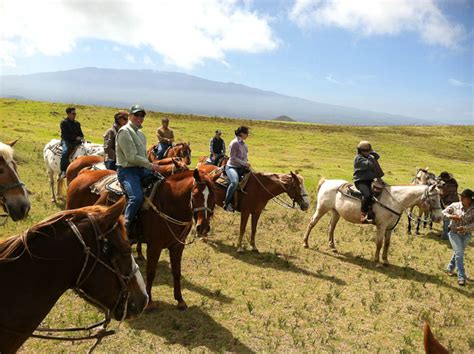 Horseback Riding Tours | Parker Ranch