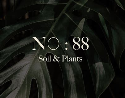 Soil Projects | Photos, videos, logos, illustrations and branding on Behance