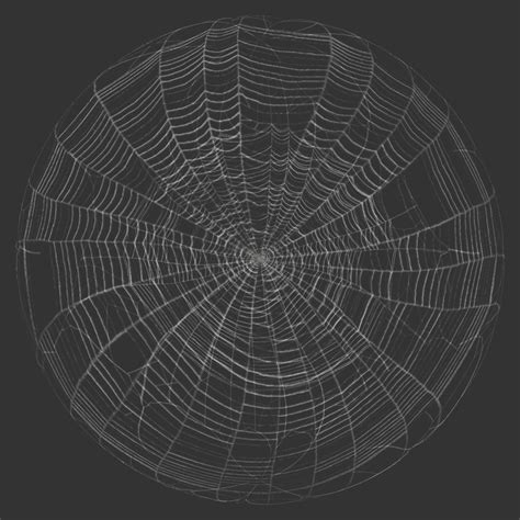 Spider Web / Cobweb Texture | Free PBR | TextureCan