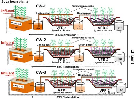 Design of vertical subsurface constructed wetland system | Download ...