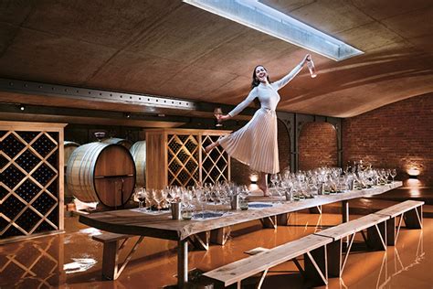 Exploring the New Underground Wine Cellar at Babylonstoren | VISI