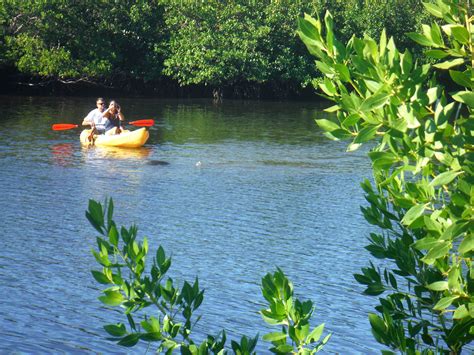 Kayak Tours in Fort Myers Beach