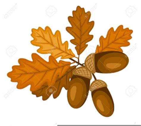 Download High Quality acorn clipart leaves Transparent PNG Images - Art Prim clip arts 2019