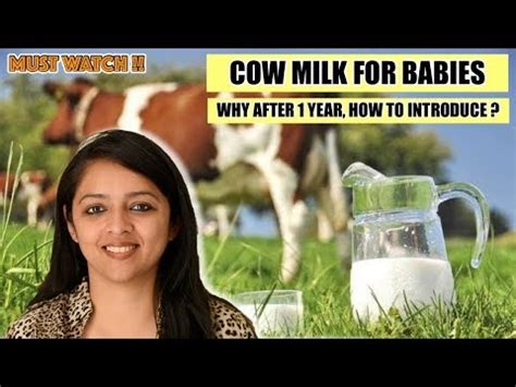 COW MILK FOR BABIES || WHEN TO INTRODUCE AND HOW ? - YouTube