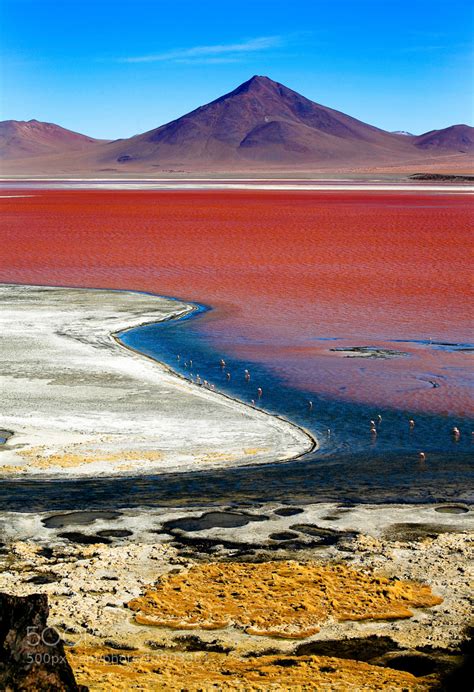 Laguna Colorada, Bolivia by Klaus Lang / 500px