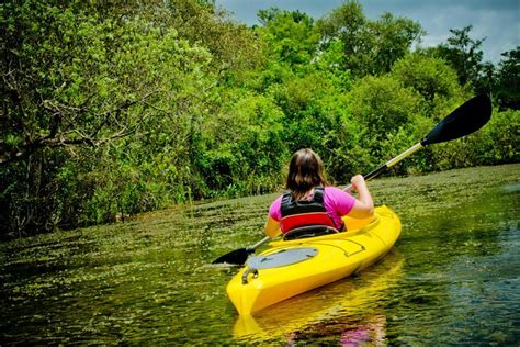 Kayaking on Broad River with Wine Tasting 2024 - Atlanta