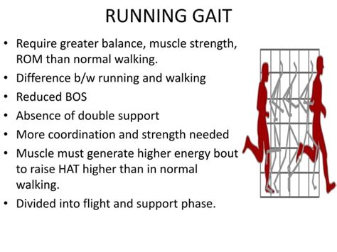 Gait biomechanics