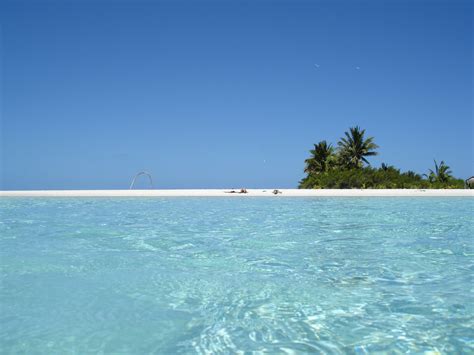 Honeymoon Island/Aitutaki Free Photo Download | FreeImages