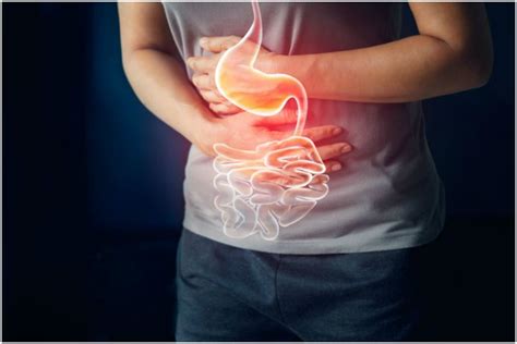 What causes your digestive system weak and unhealthy? - The Statesman