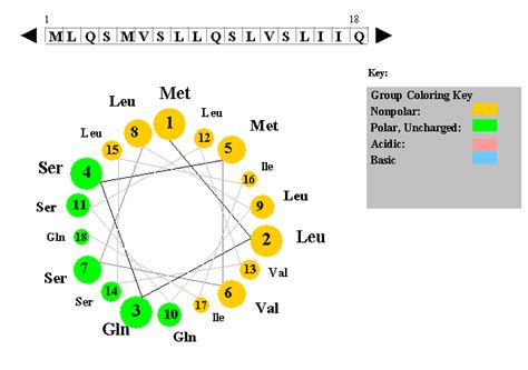 Secondary Structure - Alpha helices