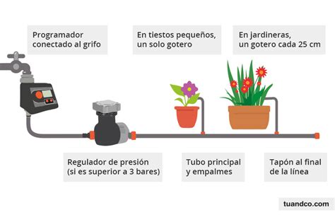 Cómo instalar riego por goteo en la terraza | Aprende & Mejora