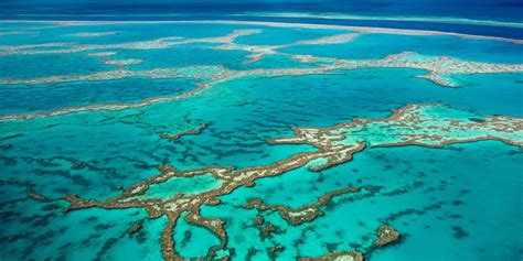 Great Barrier Reef, The Largest Coral Reef Tourism in The World - Traveldigg.com