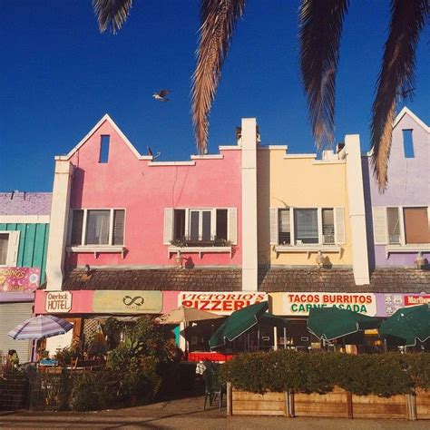 Alisa Ueno | Santa monica pier aquarium, Santa monica pier, Santa monica