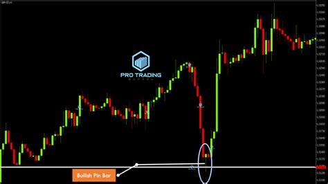 Pin Bar Trading Strategies that Work - Pro Trading School