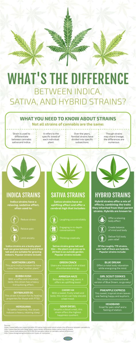 What's the Difference Between Indica, Sativa, and Hybrid Strains?