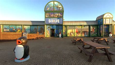 Hunstanton Sea Life centre installs seal pup recovery pool - BBC News