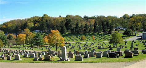 Mount Carmel Catholic Cemetery | Catholic Cemeteries Association The Catholic Cemeteries Association