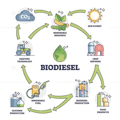 Biodiesel fuel life cycle explanation with all usage stages outline ...