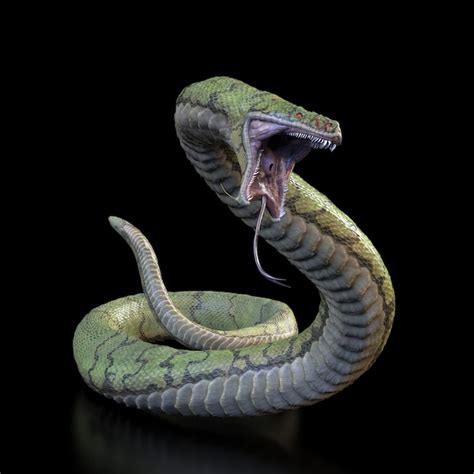 Premium Photo | Snake with an open mouth.3d illustration.