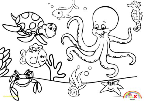 Ocean Animals Tracing Worksheets – AlphabetWorksheetsFree.com