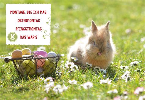 Ostermontag Foto & Bild | karte, spruch, montag Bilder auf fotocommunity