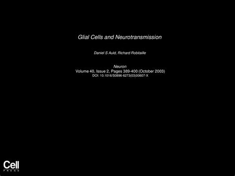 Glial Cells and Neurotransmission - ppt download