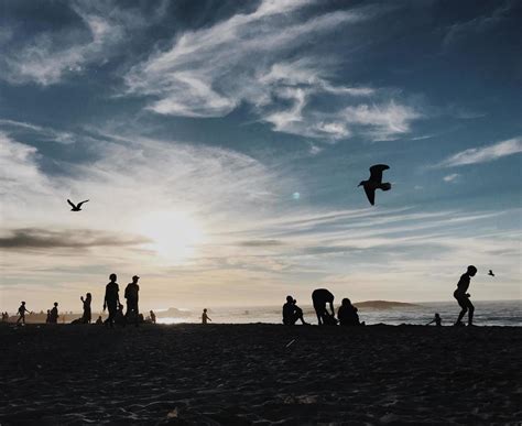 Silhouette of people enjoying the beach 1818225 Stock Photo at Vecteezy