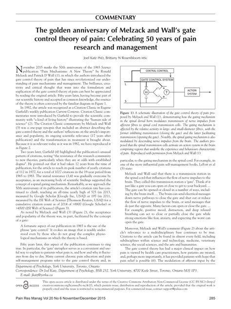 (PDF) The Golden Anniversary of Melzack and Wall’S Gate Control Theory ...