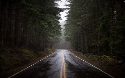 Wallgans.com | Route forestière, Fond d'écran ordinateur, Forêt brumeuse