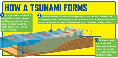 1000+ images about Tsunami Model on Pinterest | Models, Science kits ...