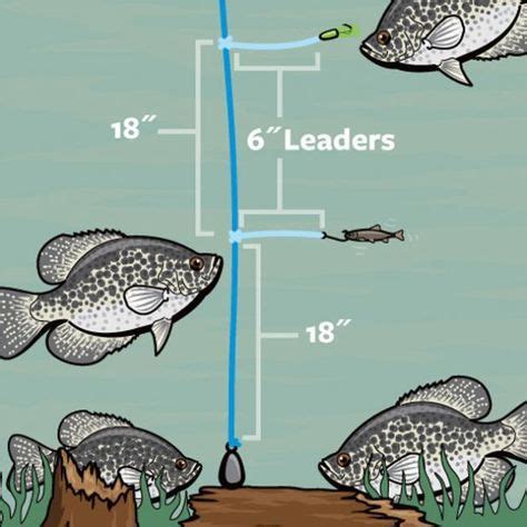 Pin by peter on Fishing | Fishing tips, Crappie fishing, Fishing techniques