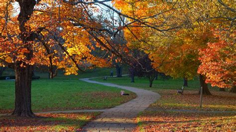 Fall Foliage in Boston | Beacon Group Real Estate