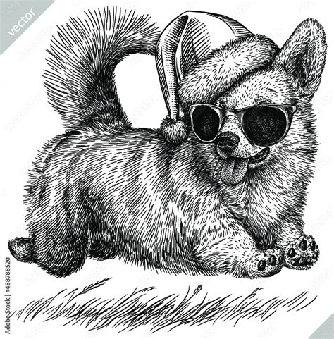 black and white engrave isolated corgi vector christmas illustration ...