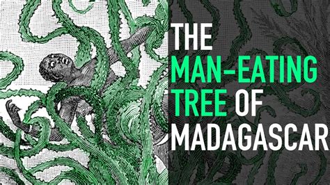 The Man-Eating Tree of Madagascar - YouTube