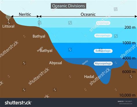 illustration of Physical Geography, Layers of the Ocean diagram, View ...