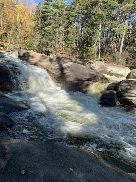 Photos of Franconia Falls Trail - New Hampshire | AllTrails