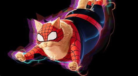 Spider Cat Across the Spider-Verse Wallpaper, HD Movies 4K Wallpapers, Images and Background ...