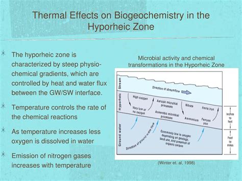 PPT - Heat Transmission in the Hyporheic Zone PowerPoint Presentation, free download - ID:4383837