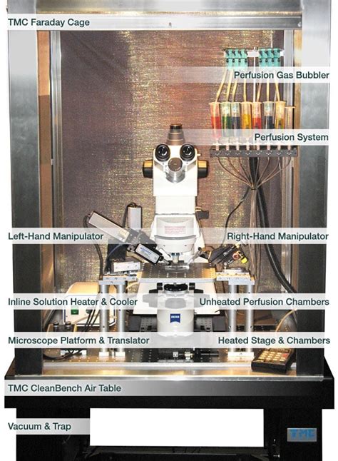 Complete Electrophysiology Rig: Build Your Own - AutoMate Scientific