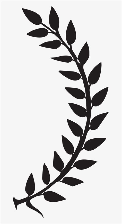 Laurel Leaves Right-01 - Laurel Crown Transparent PNG - 663x1429 - Free ...