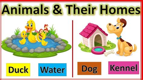 Animals and Their Homes: Fun Crafts and Learning